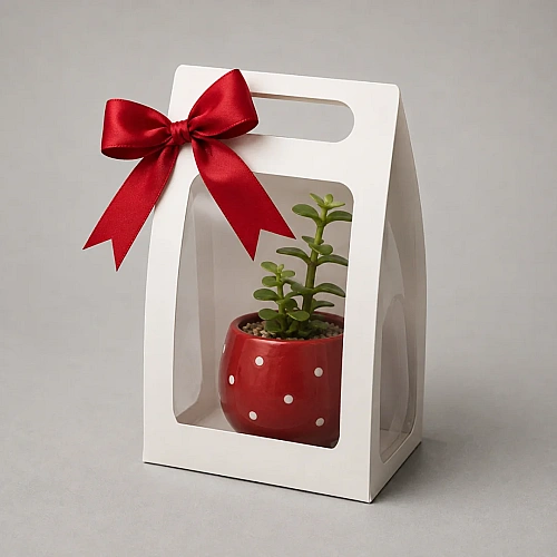 Gift set with Plant